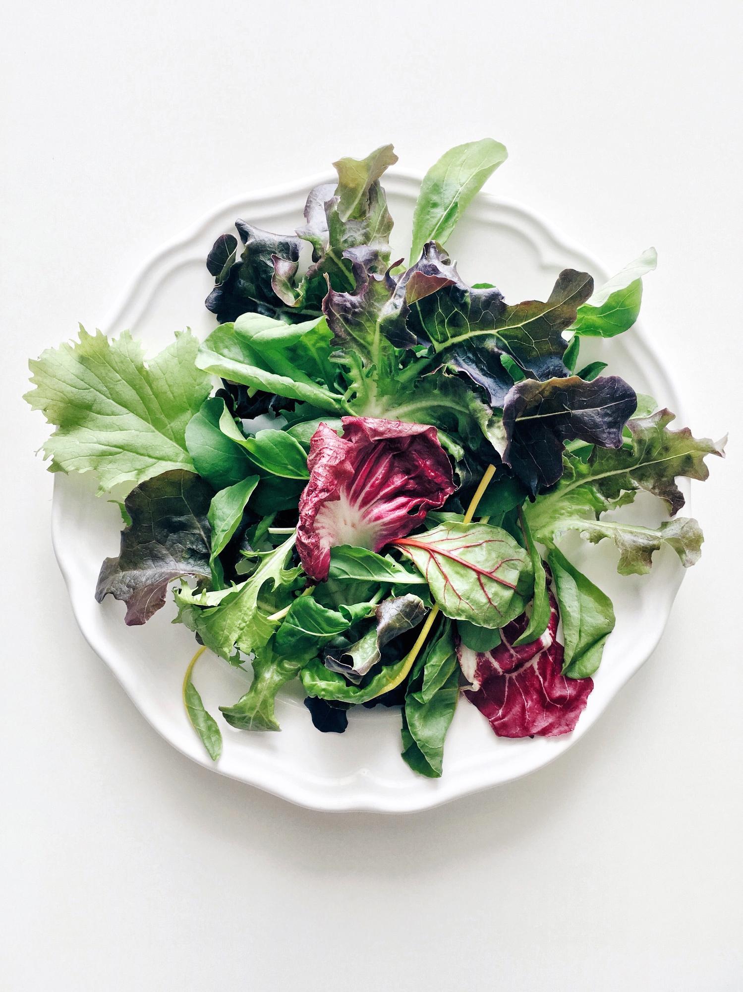 Close-up of plated seasonal salad